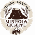 Società Semplice Agricola Mingoia